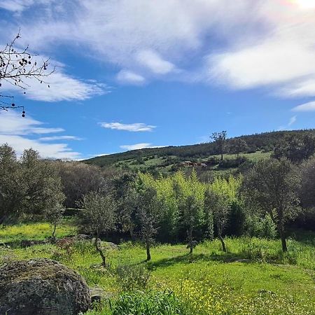 Quinta Da Utopia Каштелу-ди-Види Экстерьер фото