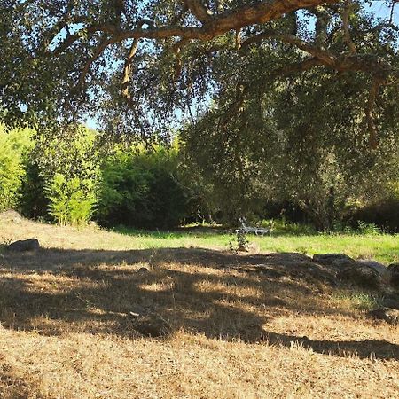 Quinta Da Utopia Каштелу-ди-Види Экстерьер фото