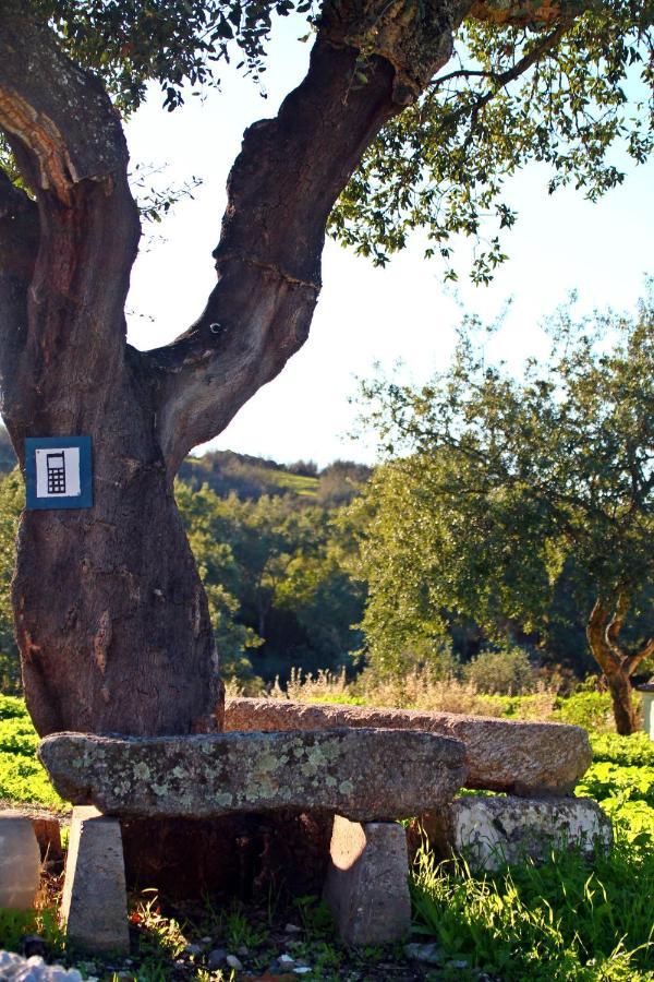 Quinta Da Utopia Каштелу-ди-Види Экстерьер фото