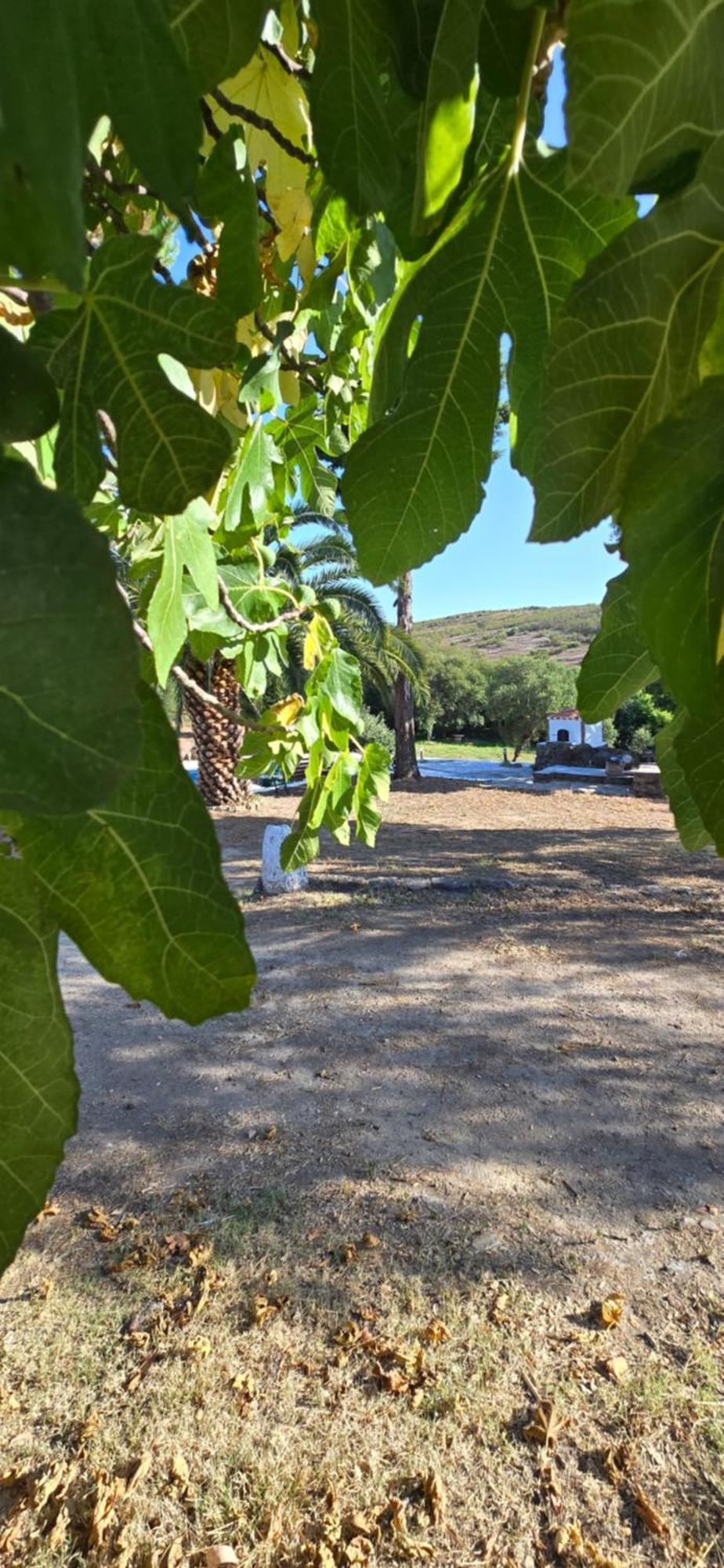 Quinta Da Utopia Каштелу-ди-Види Экстерьер фото