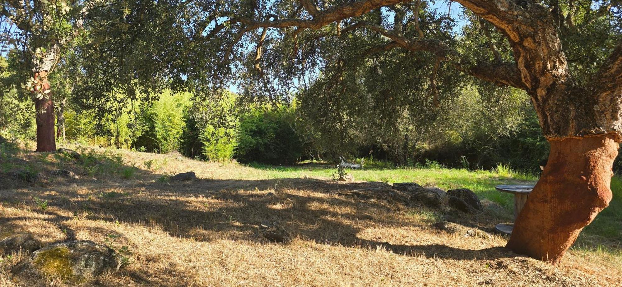 Quinta Da Utopia Каштелу-ди-Види Экстерьер фото